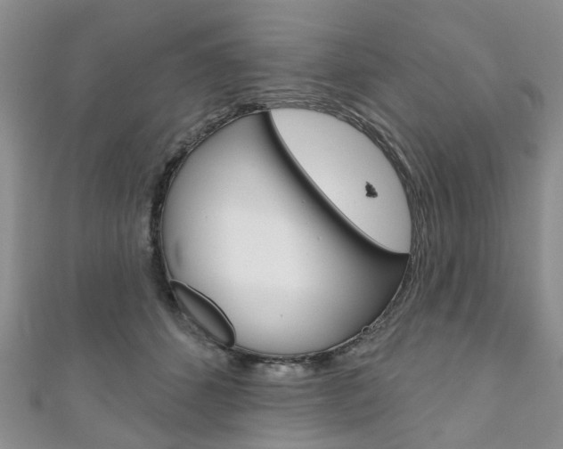 X0000111200512200907011032