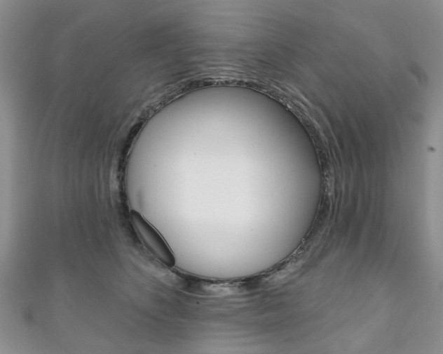X0000111200516200907011032