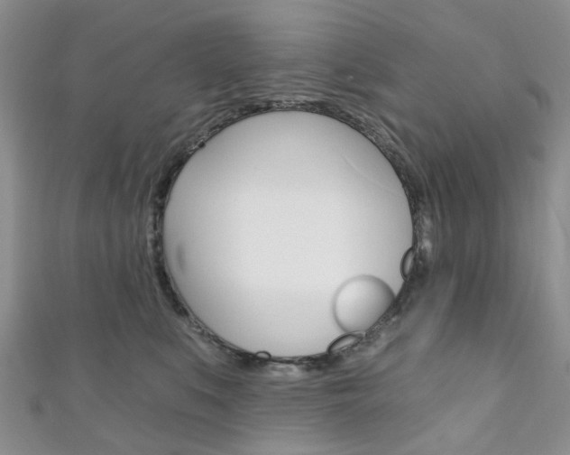 X0000111200519200907011032