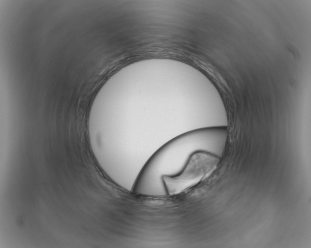 X0000111200521200907011032