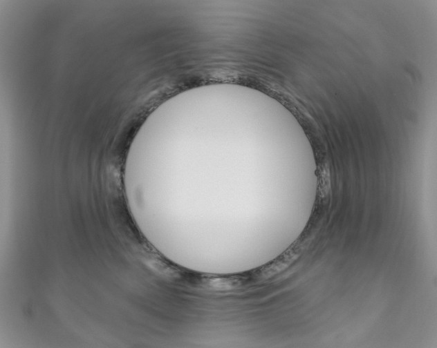 X0000111200522200907011032