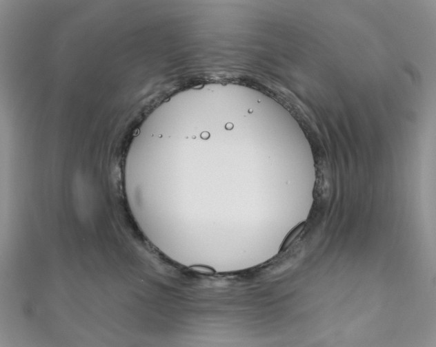 X0000111200523200907011032