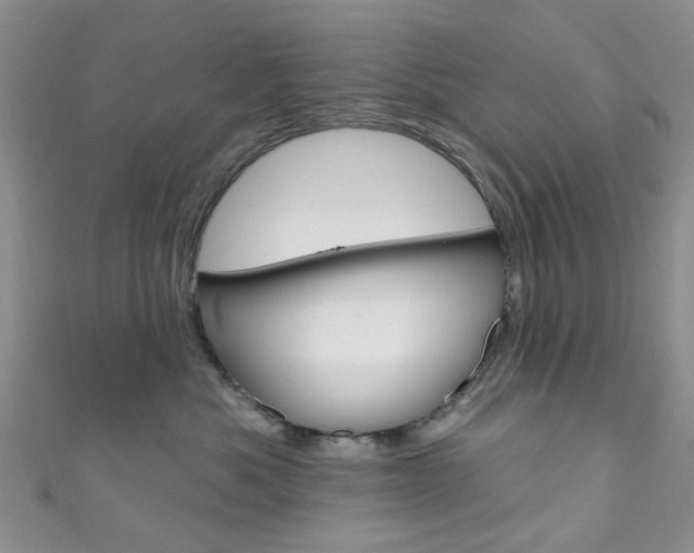 X0000111200525200907011032