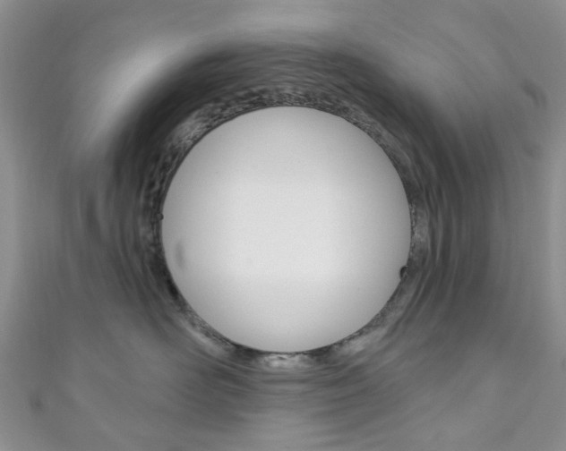 X0000111200526200907011032