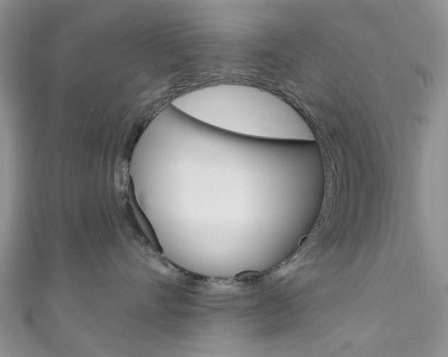 X0000111200528200907011032