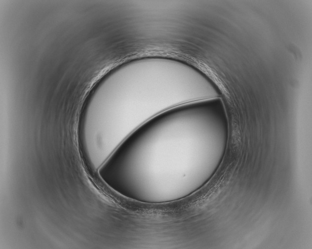 X0000111200530200907011032
