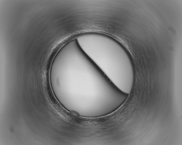 X0000111200535200907011032