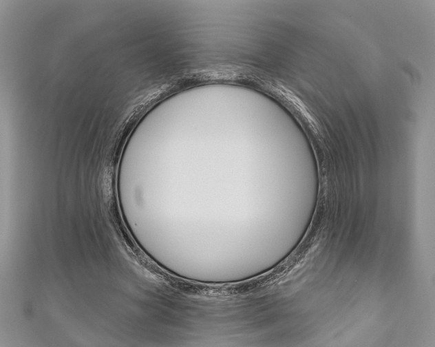 X0000111200537200907011032