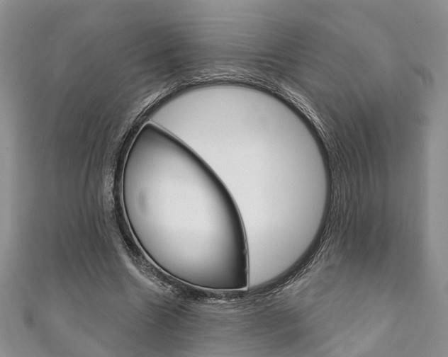 X0000111200538200907011032