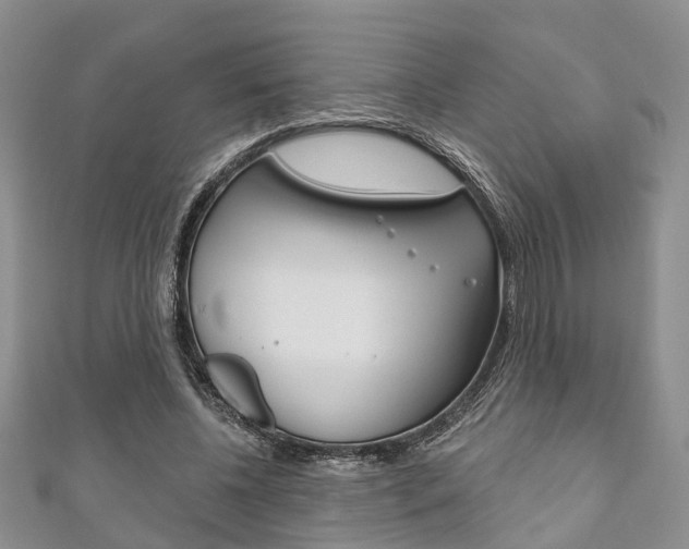 X0000111200540200907011032