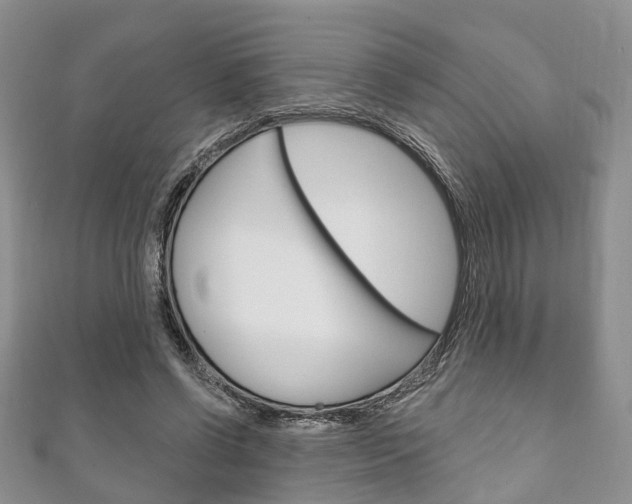 X0000111200542200907011032