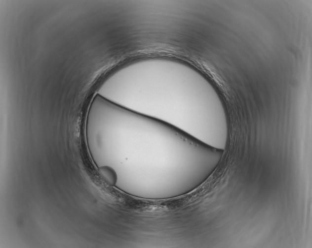 X0000111200543200907011032