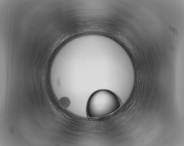 X0000111200544200907011032