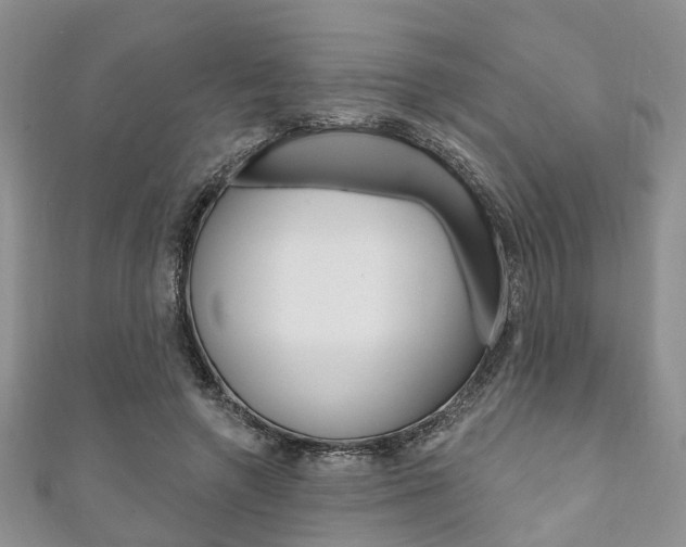 X0000111200546200907011032