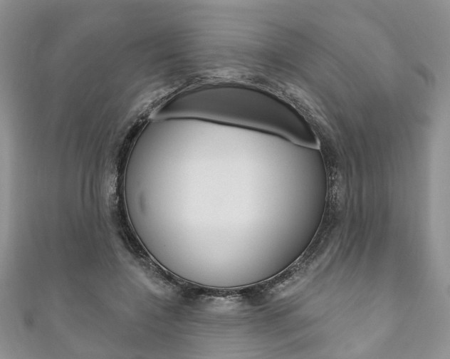 X0000111200548200907011032