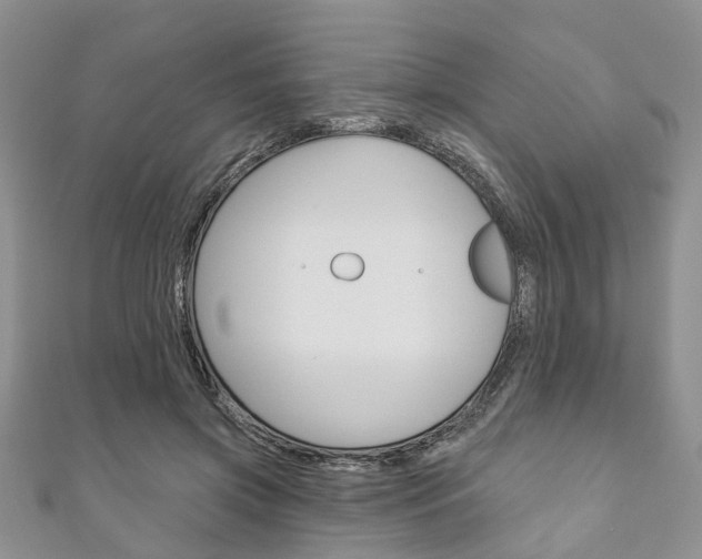 X0000111200549200907011032