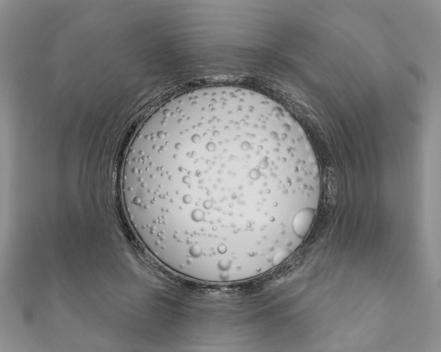 X0000111200550200907011032