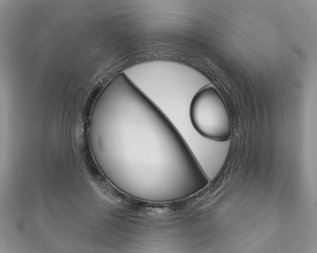X0000111200552200907011032