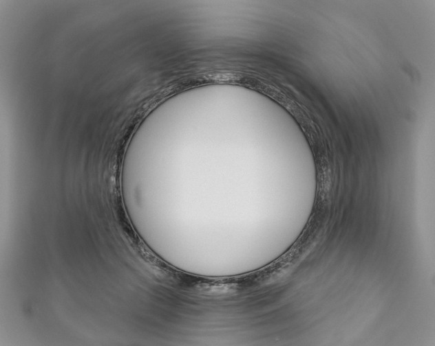 X0000111200553200907011032