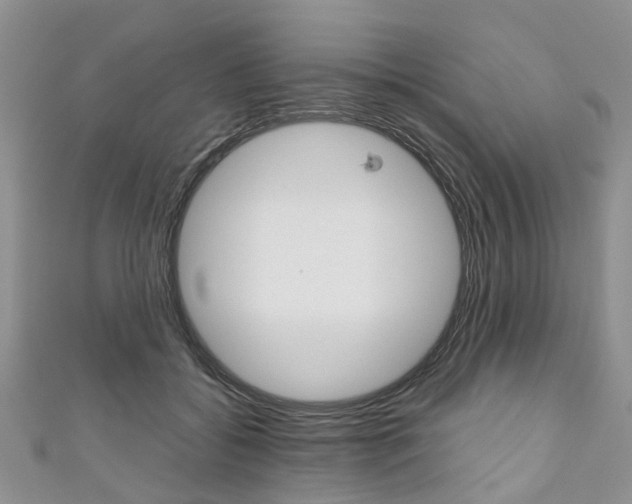 X0000111200556200907011032