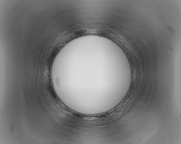 X0000111200557200907011032