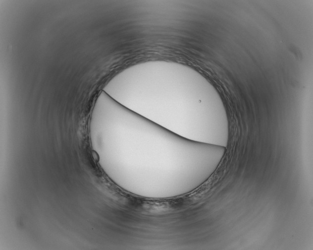 X0000111200559200907011032