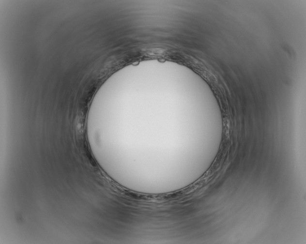 X0000111200561200907011032