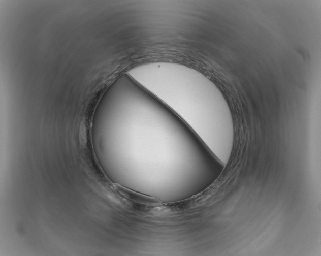 X0000111200562200907011032