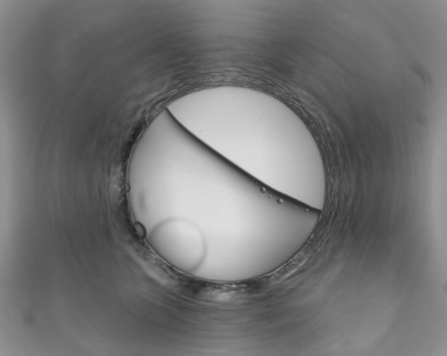 X0000111200563200907011032
