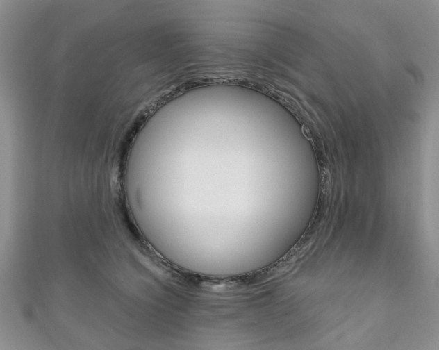 X0000111200564200907011032