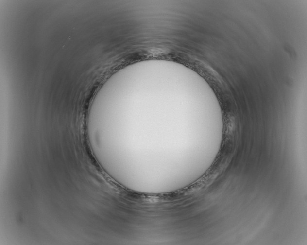 X0000111200565200907011032
