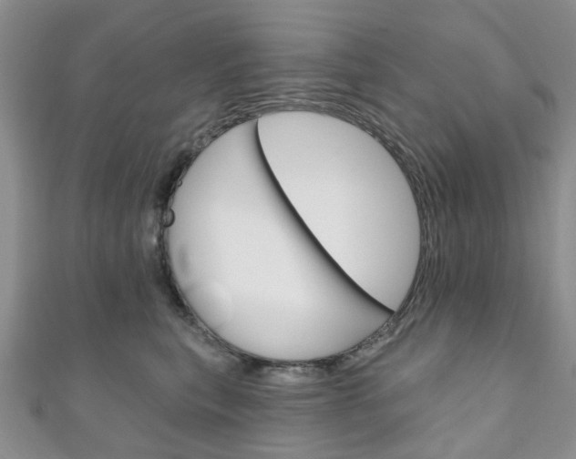X0000111200567200907011032