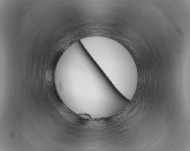 X0000111200571200907011032