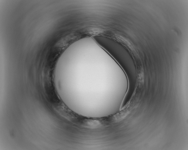 X0000111200572200907011032