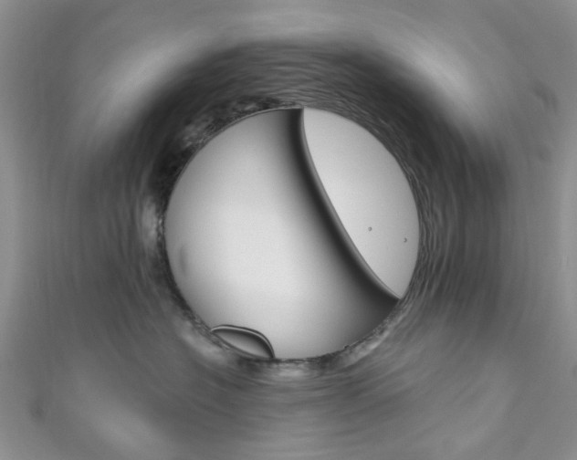 X0000111200574200907011032