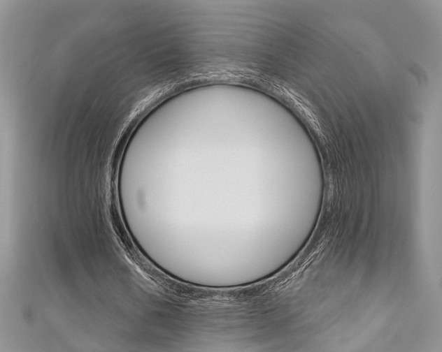 X0000111200578200907011032