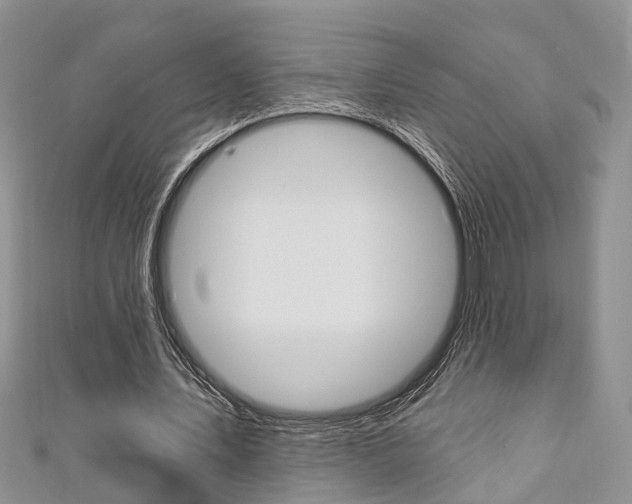 X0000111200579200907011032