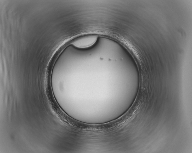 X0000111200580200907011032