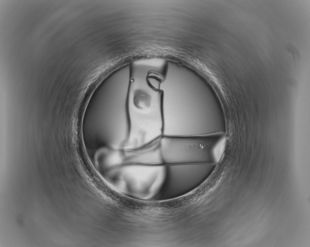 X0000111200581200907011032