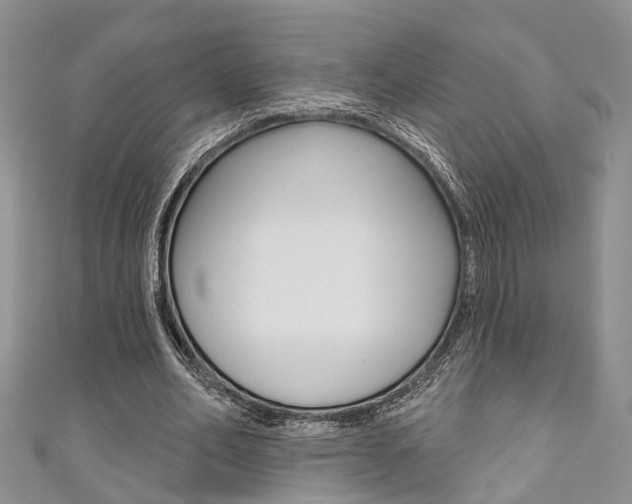 X0000111200582200907011032