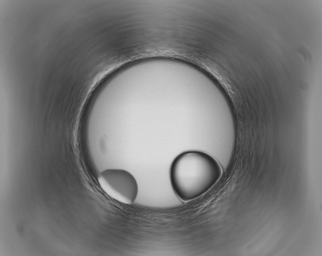 X0000111200583200907011032
