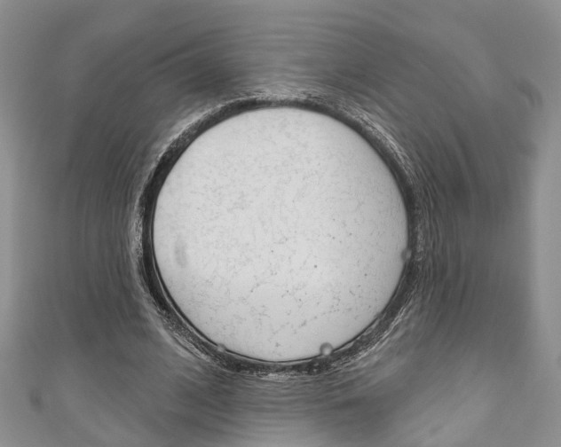 X0000111200584200907011032
