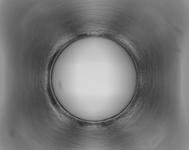 X0000111200586200907011031