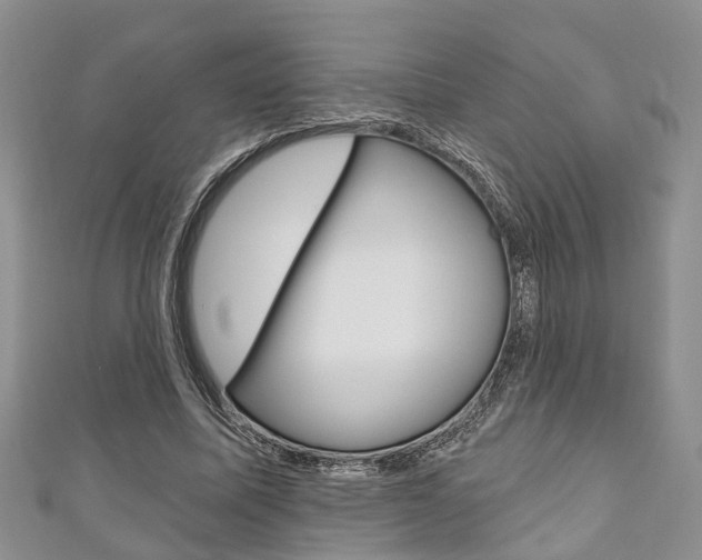 X0000111200587200907011031