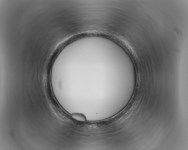 X0000111200588200907011031