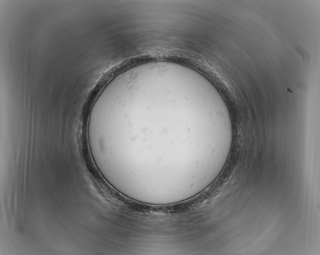 X0000111200592200907011031