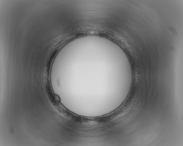 X0000111200594200907011031
