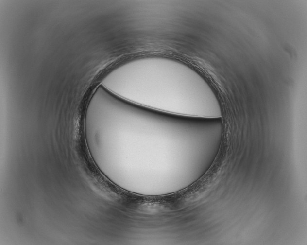 X0000111200596200907011031