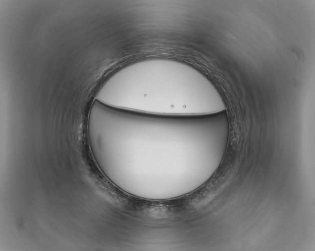 X0000111200600200907011031