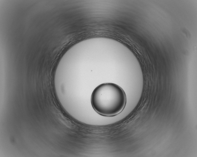 X0000111200601200907011031
